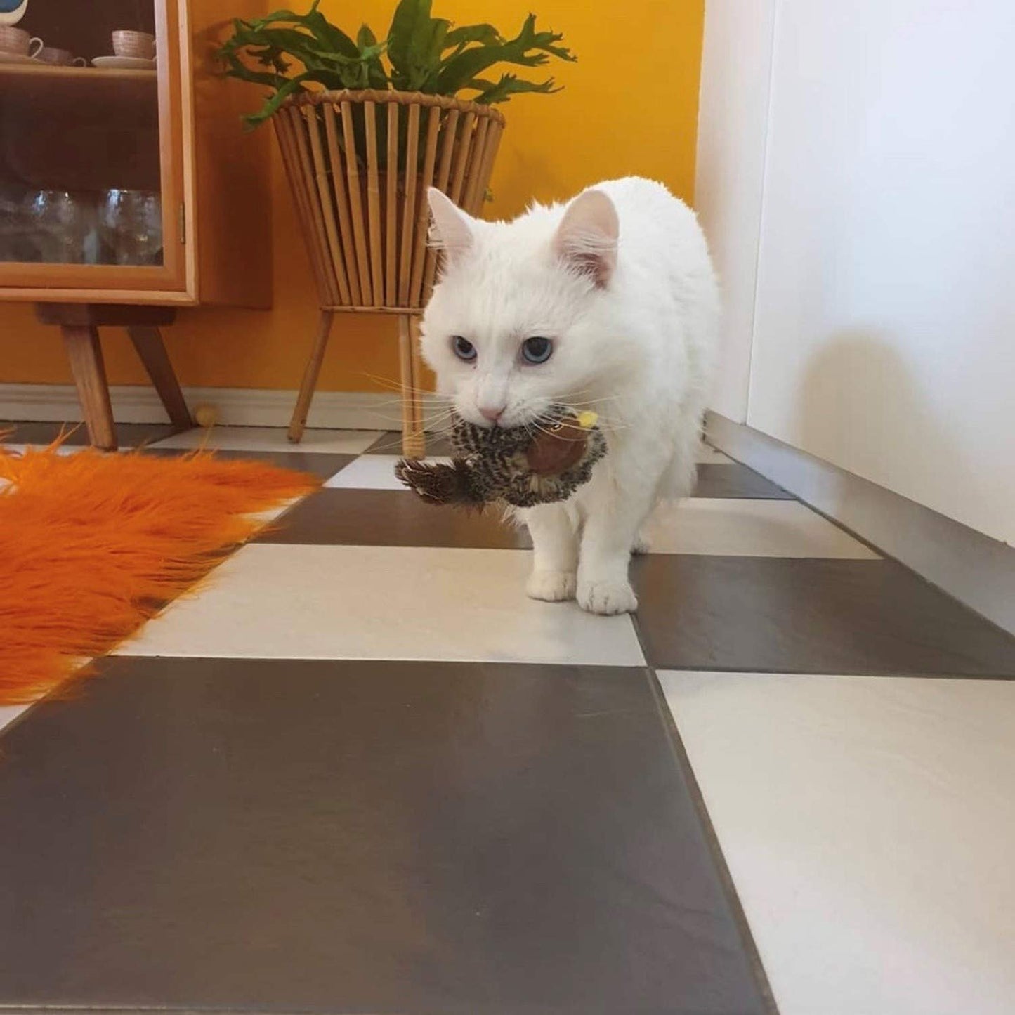 Melody Chaser Pájaro