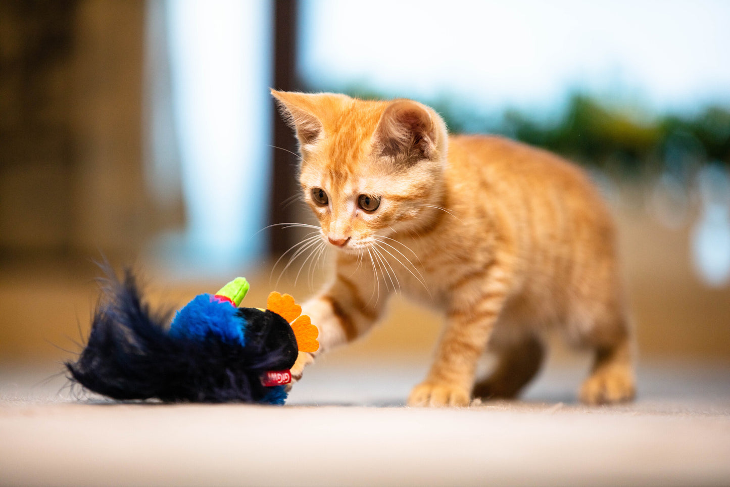 Tucán Melody Chaser