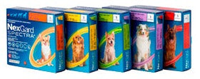 NexGard Spectra