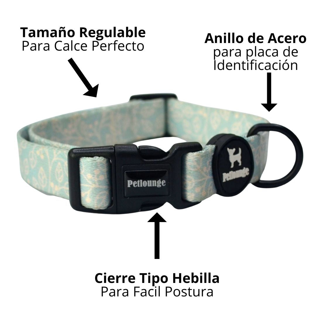 Collar perro Petlounge