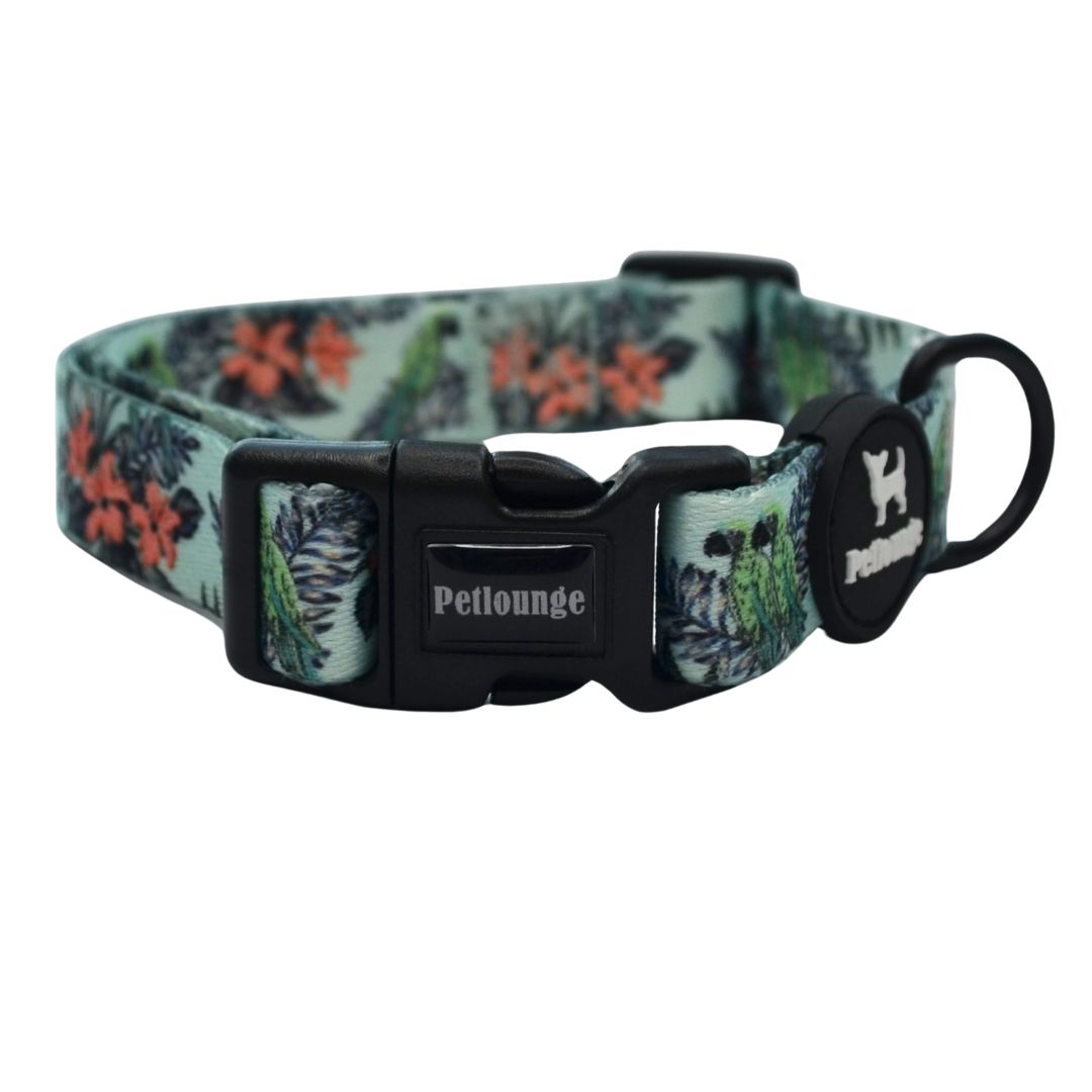 Collar perro Petlounge