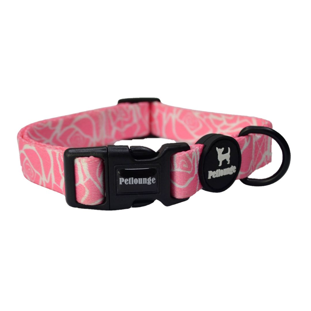 Collar perro Petlounge