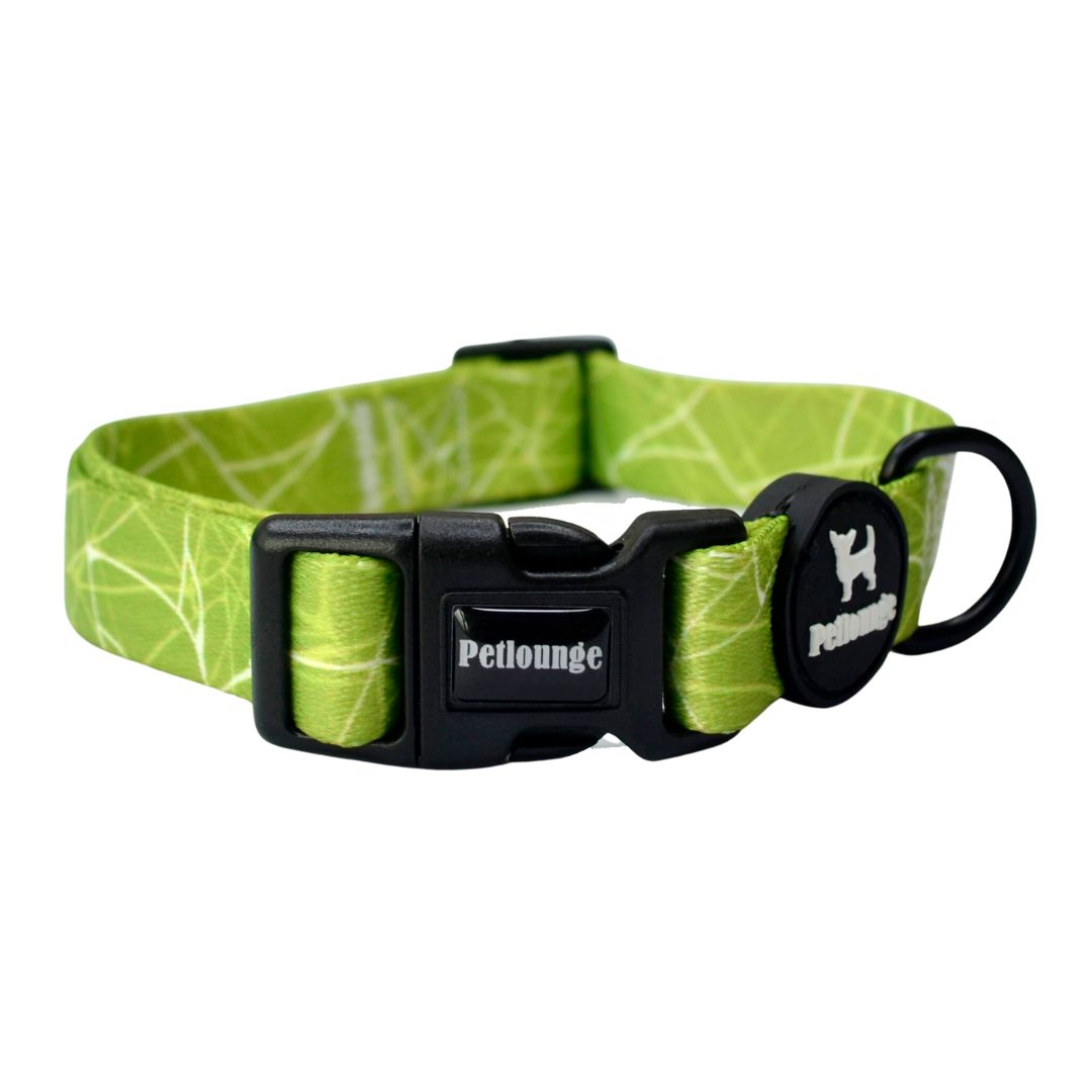 Collar perro Petlounge
