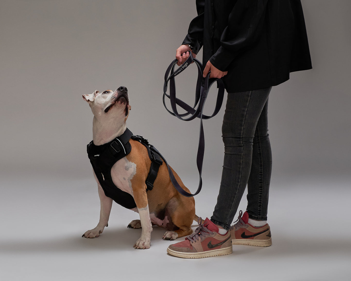 Correa Larga Street Dogs