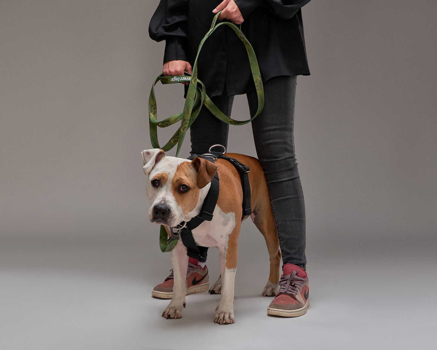 Correa Mosquetón Automático Street Dogs