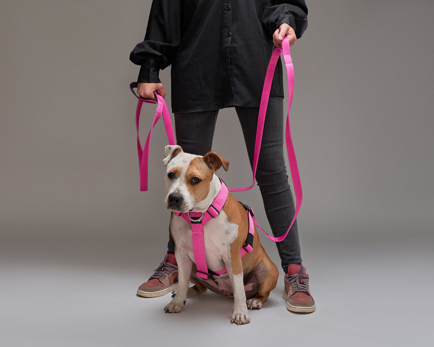 Correa Larga Street Dogs