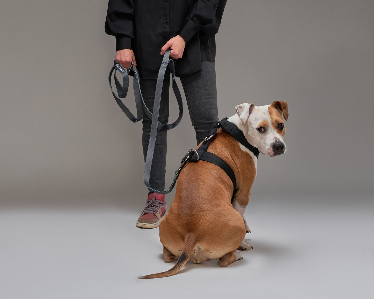 Arnés Strap Street Dogs