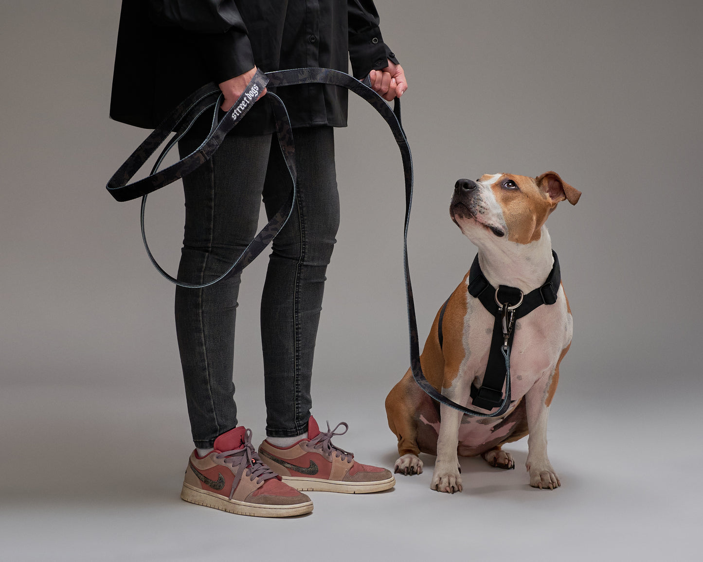 Correa Larga Street Dogs