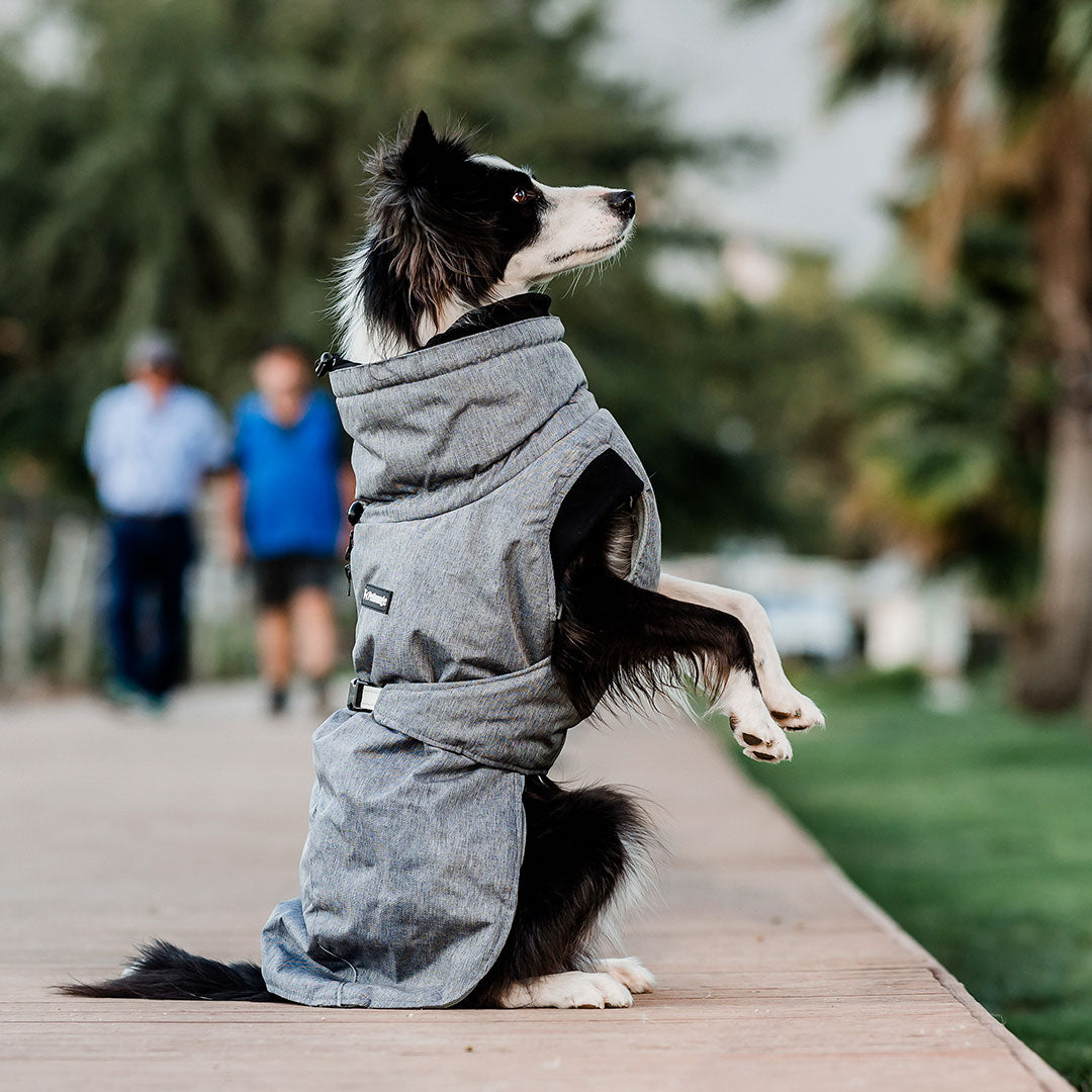 Parka Dry and Comfy Petlounge