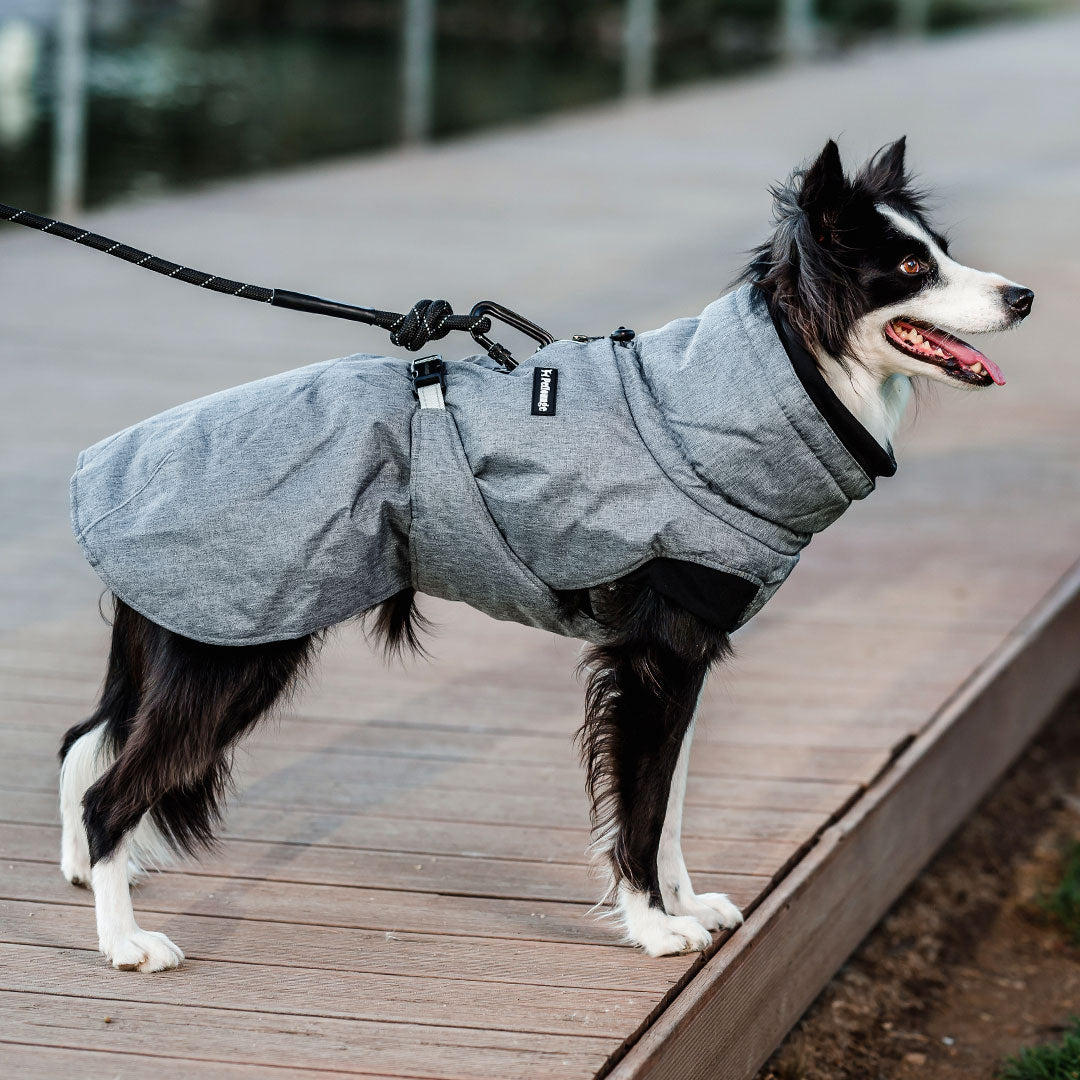 Parka Dry and Comfy Petlounge