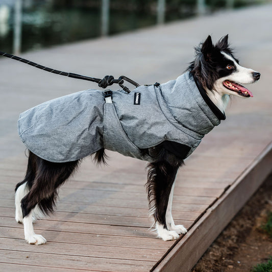 Parka Dry and Comfy Petlounge