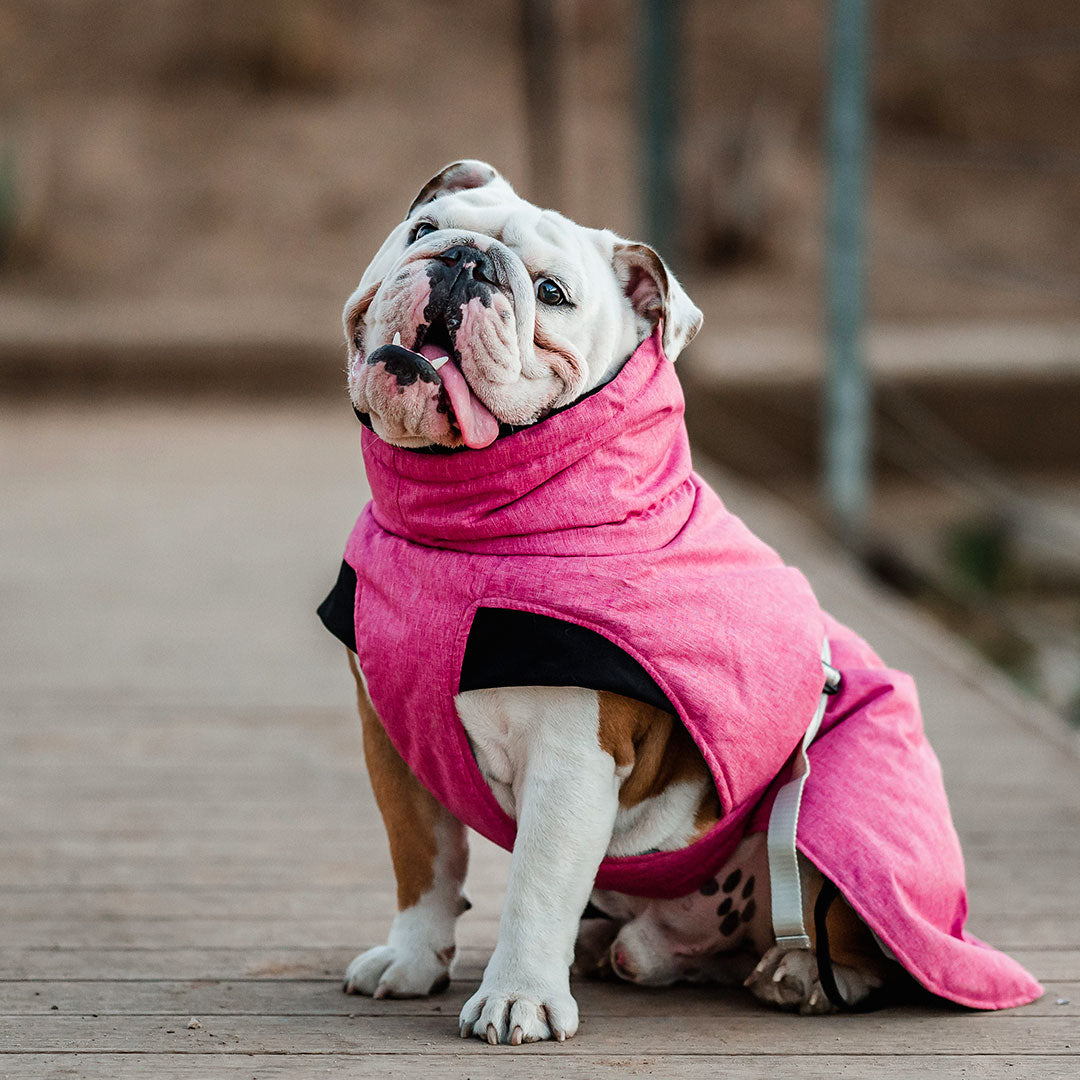 Parka Dry and Comfy Petlounge