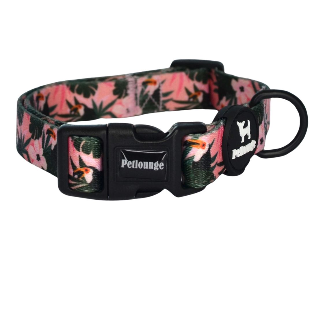Collar perro Petlounge