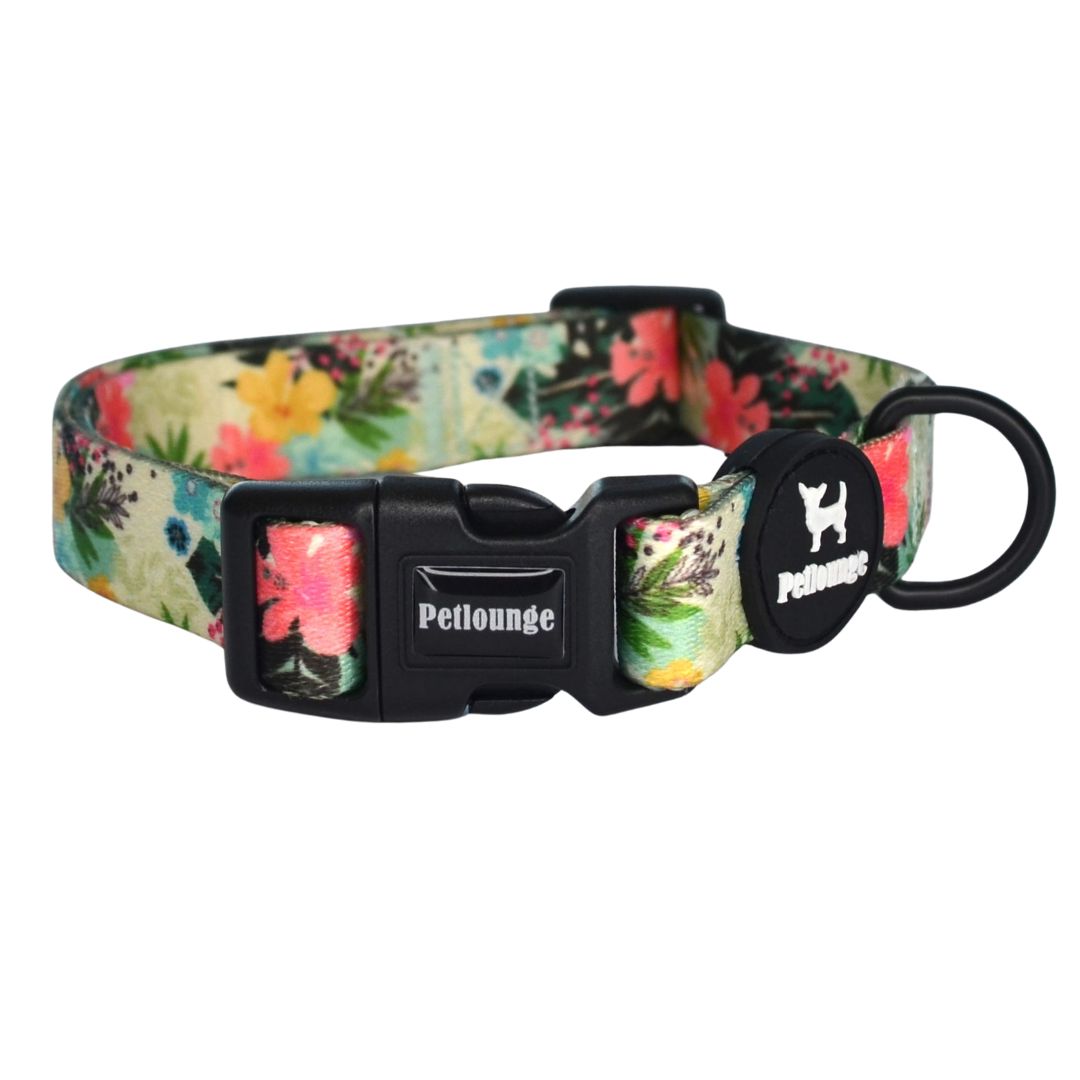 Collar perro Petlounge