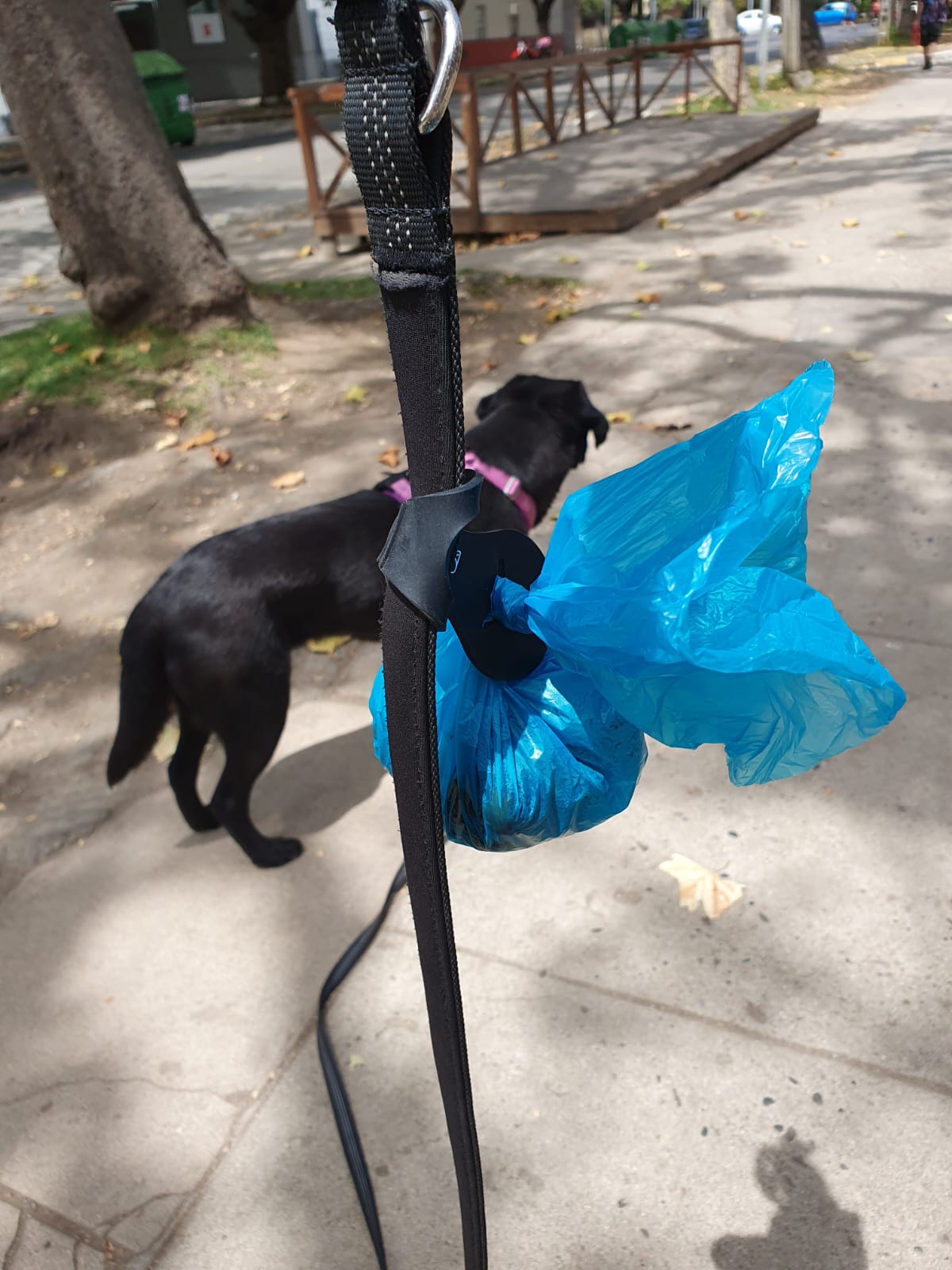 Soporte para Bolsas Sanitarias