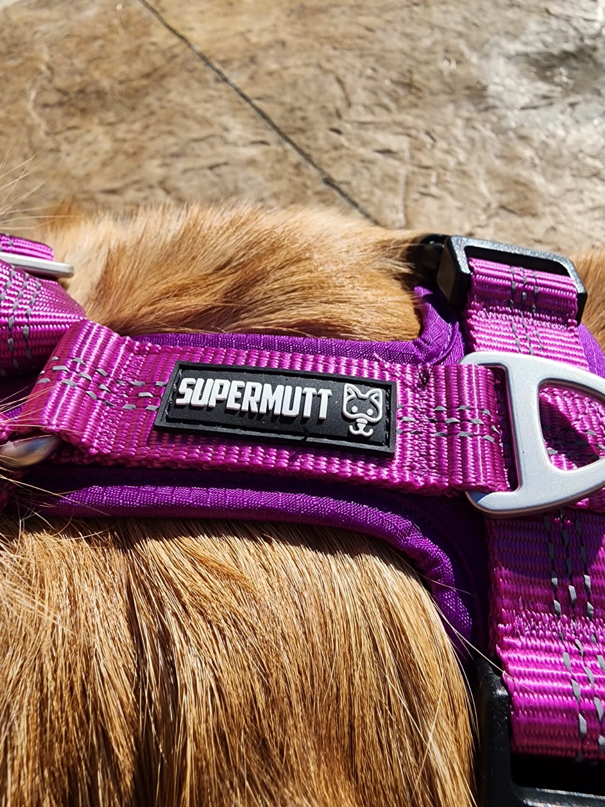Arnés Supermutt