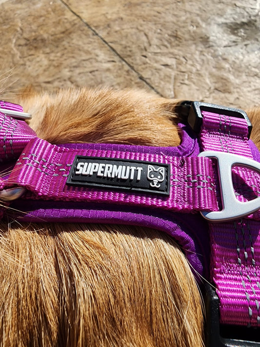 Arnés Supermutt