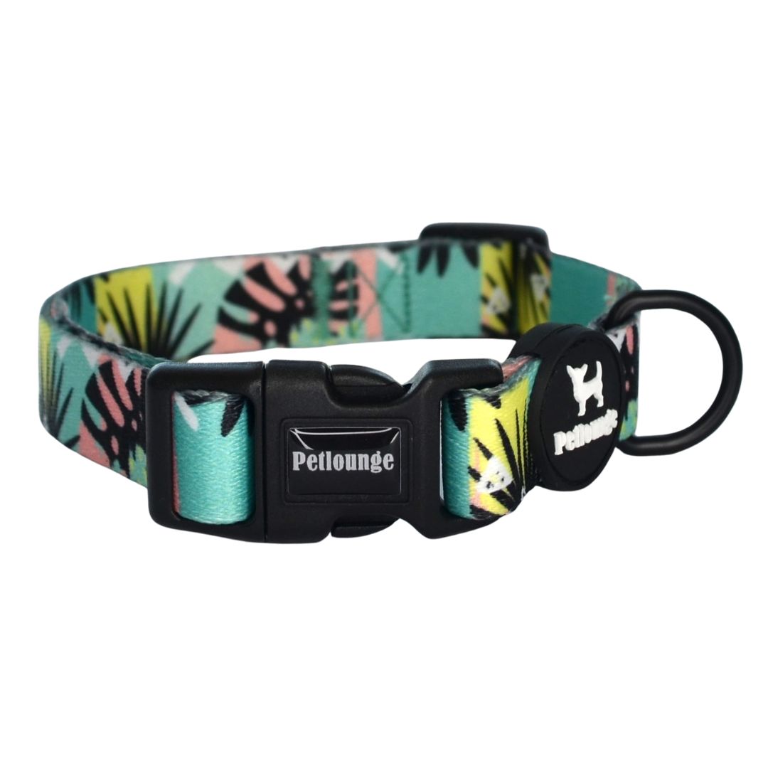 Collar perro Petlounge