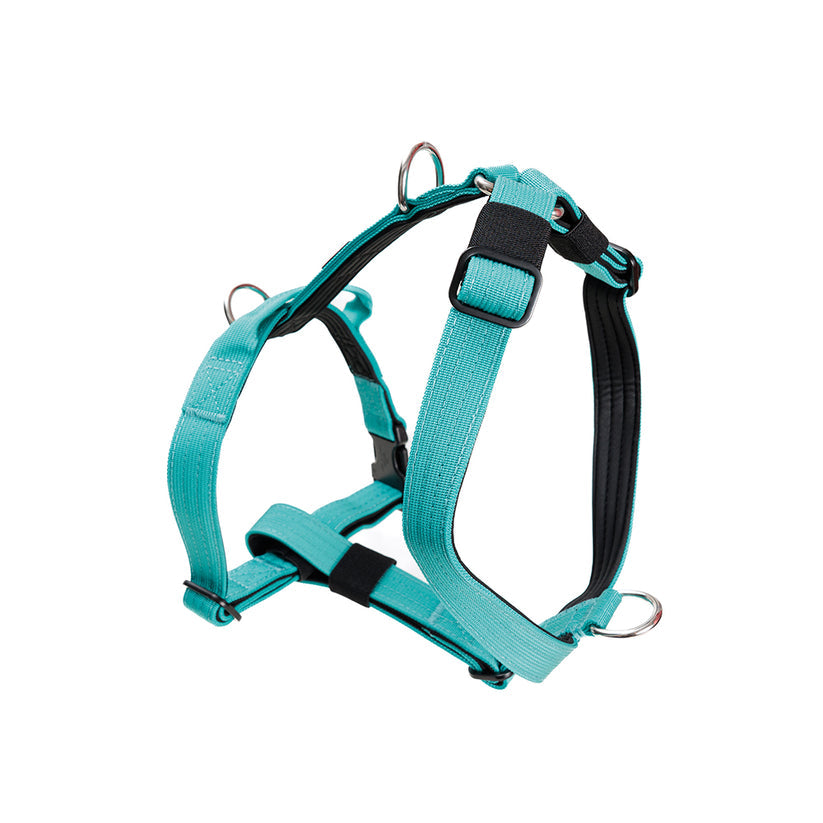 Arnés Mini Strap Street Dogs