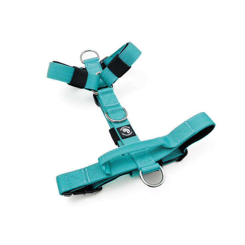 Arnés Mini Strap Street Dogs