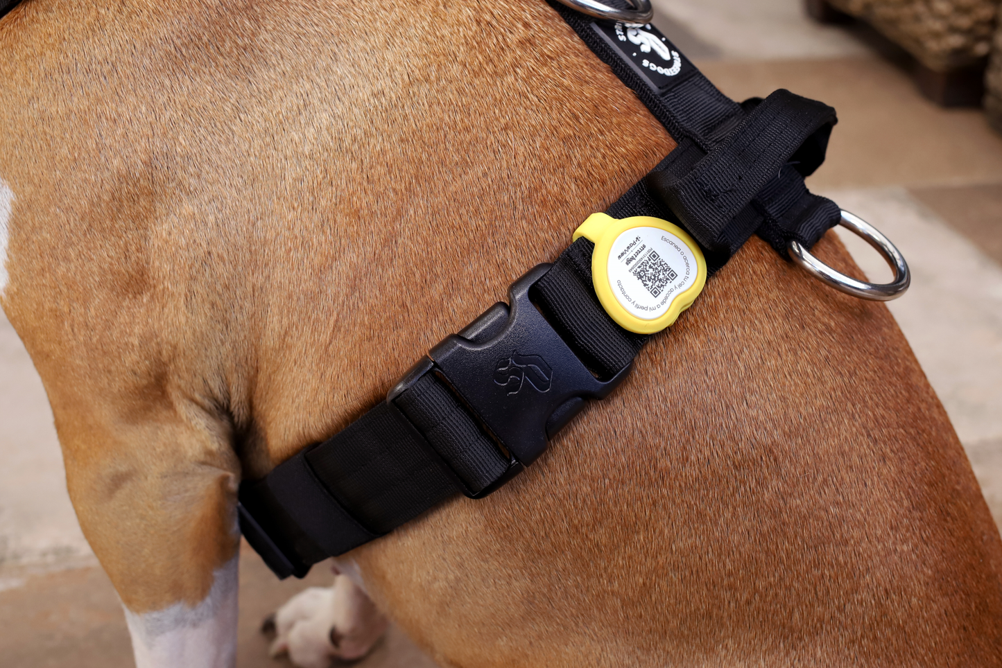 Pet ID- Porta Air Tag