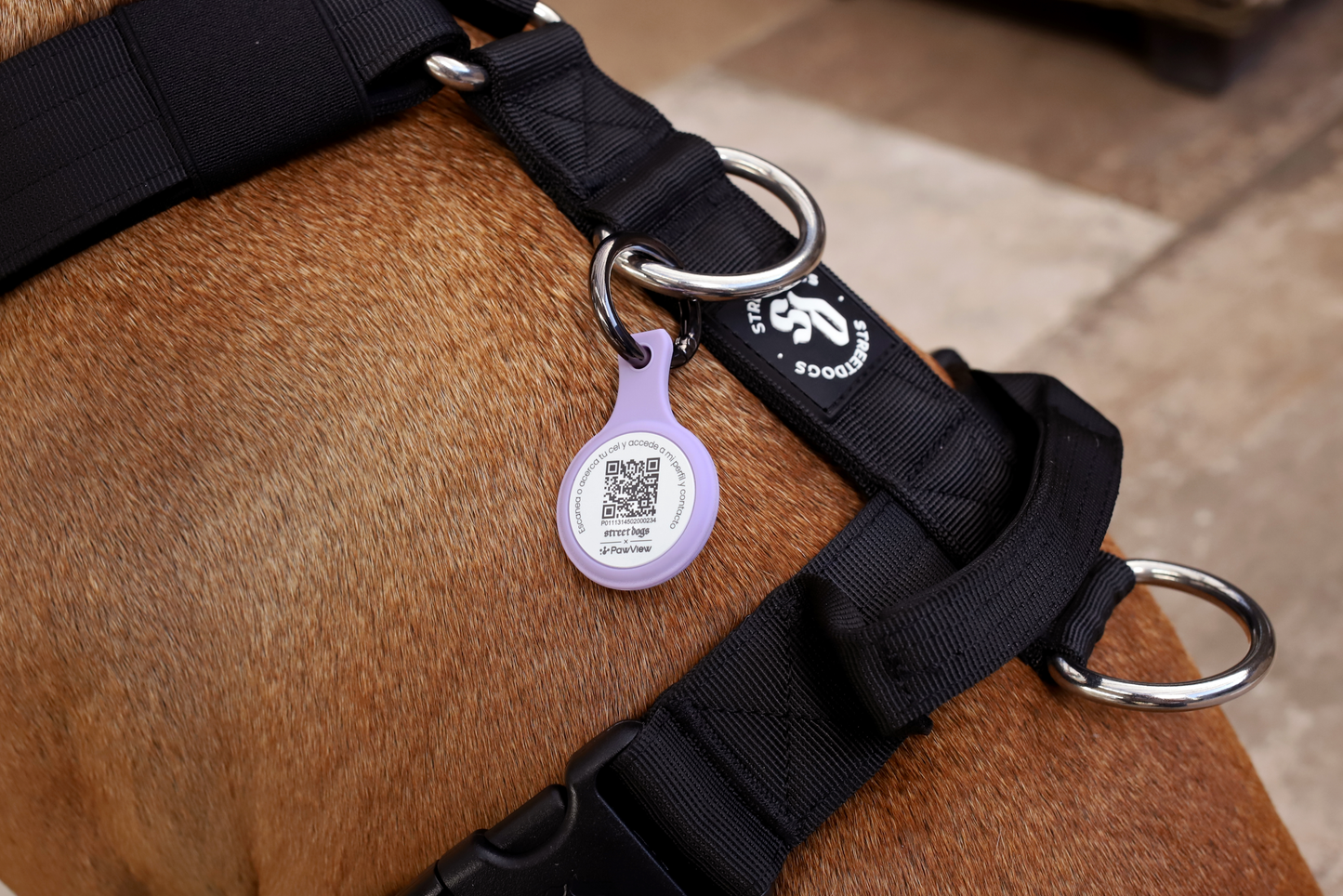 Pet ID- Porta Air Tag