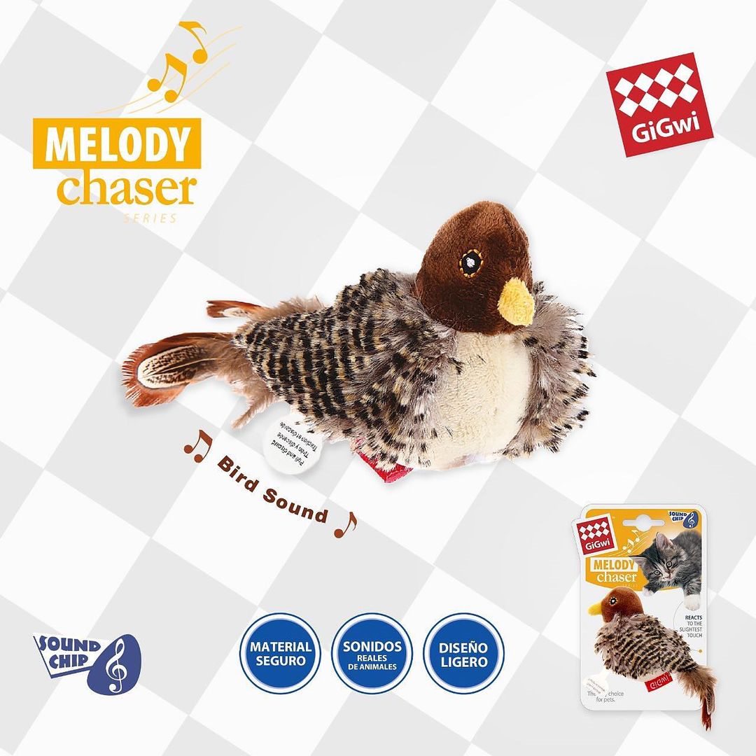 Melody Chaser Pájaro