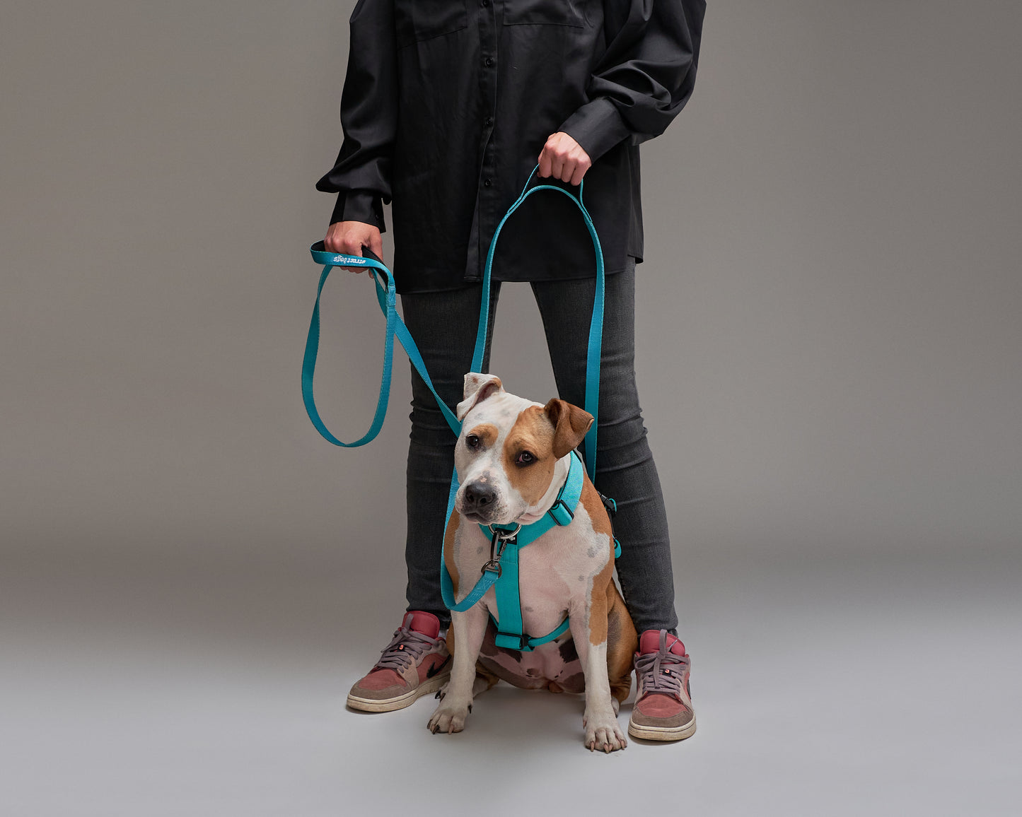 Correa Larga Street Dogs