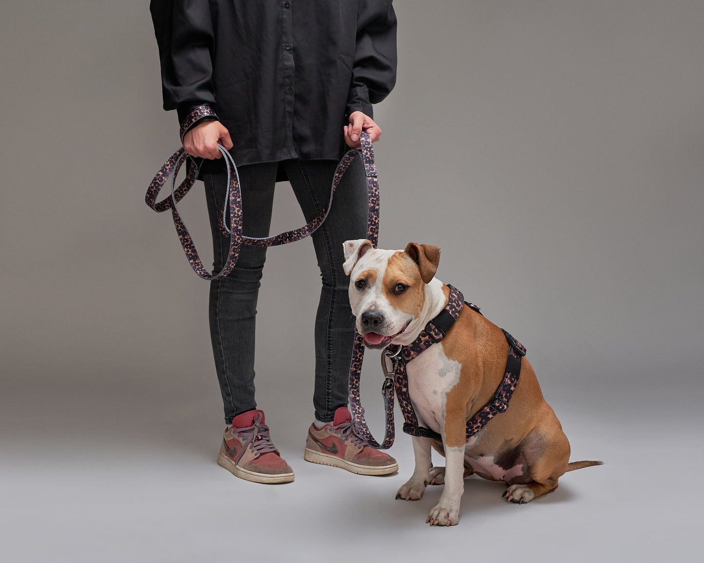 Correa Larga Street Dogs