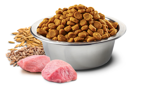 N&D Perros Cerdo, Cereales, Frutas tropicales 2.5 kg.