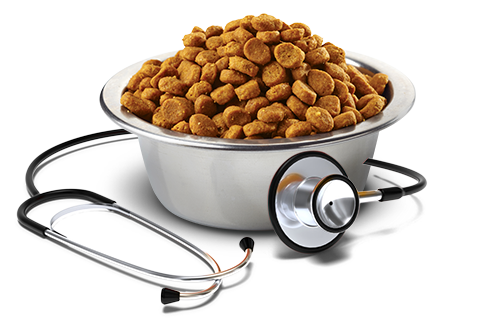 Vetlife Gato Diabetic 2 kg.