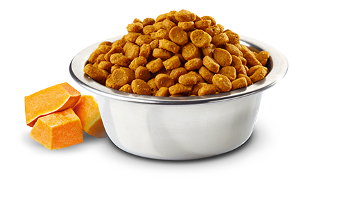 N&D Gatos Salmón, Calabaza, Naranja 1.5 kg.