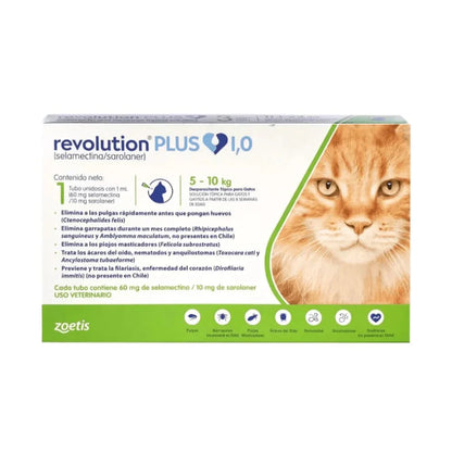 Revolution Plus