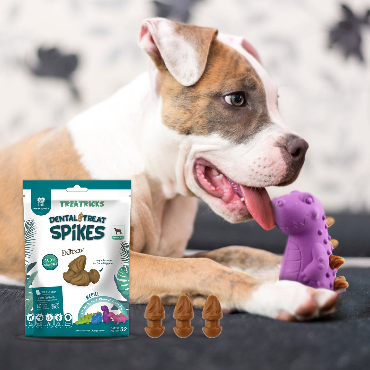 Repuestos Dental Treat Spikes