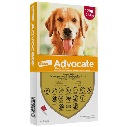 Advocate Perros