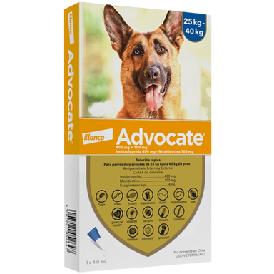 Advocate Perros