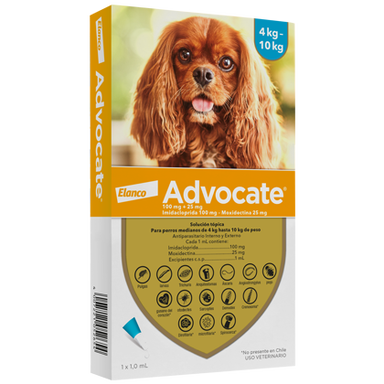 Advocate Perros
