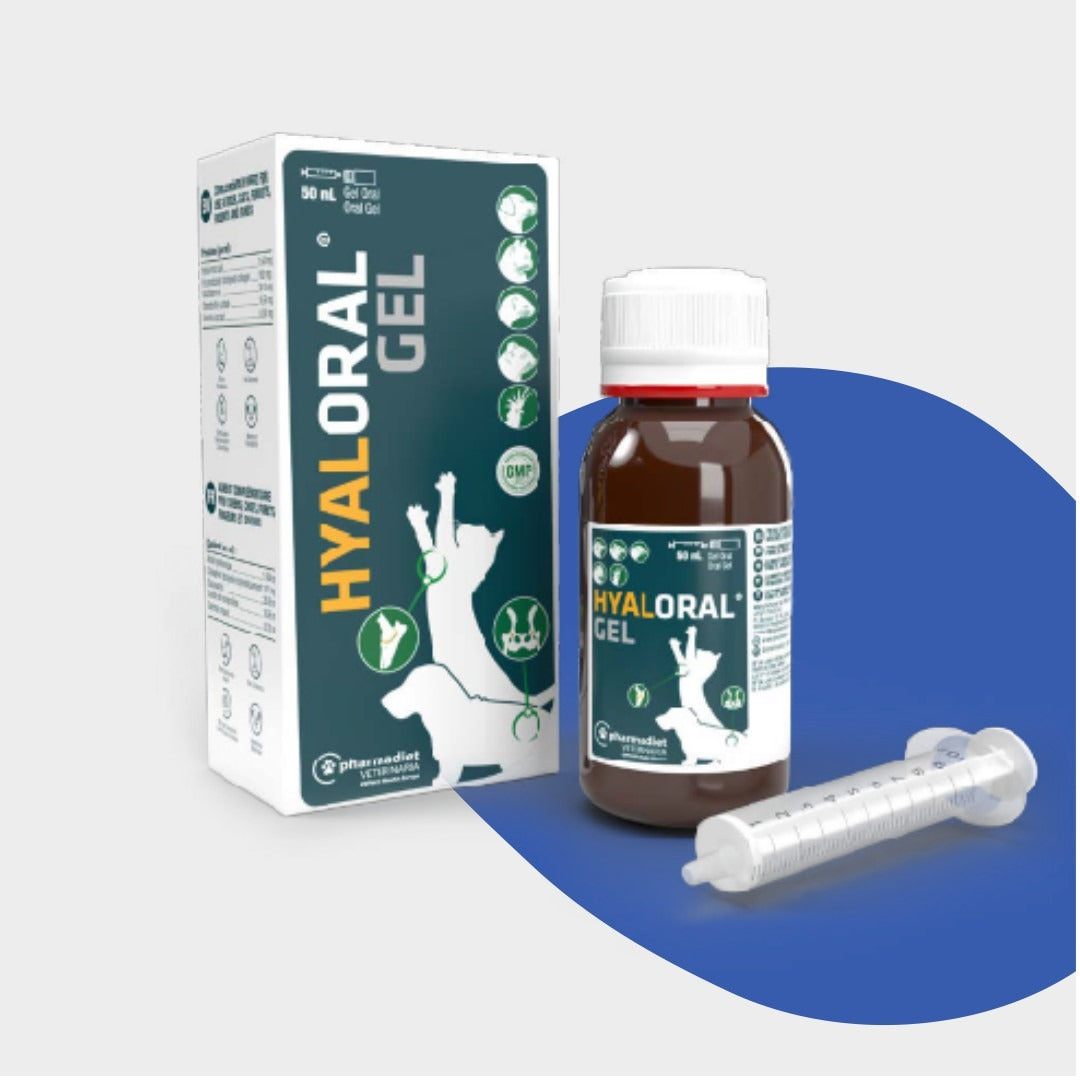 Hyaloral Gel Cachorros y Gatos
