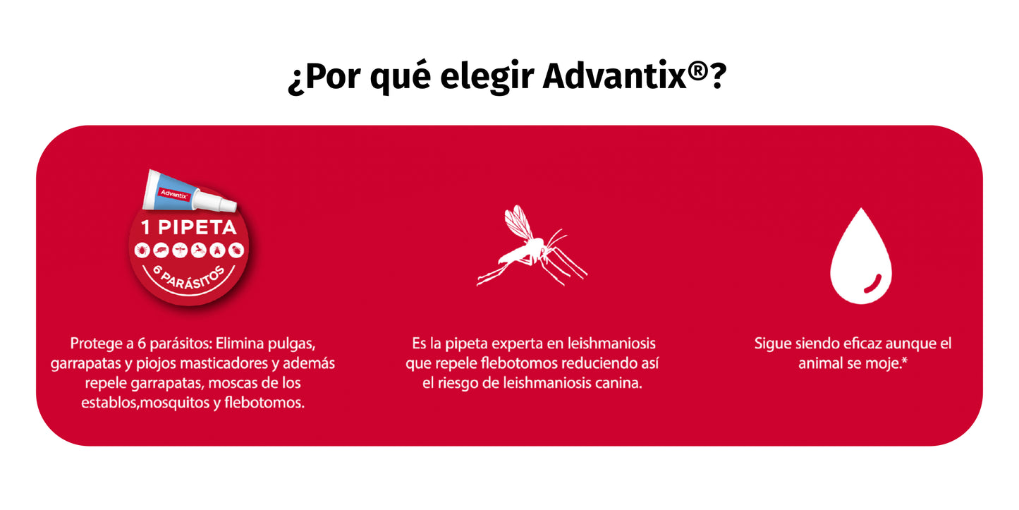 Advantix Perros